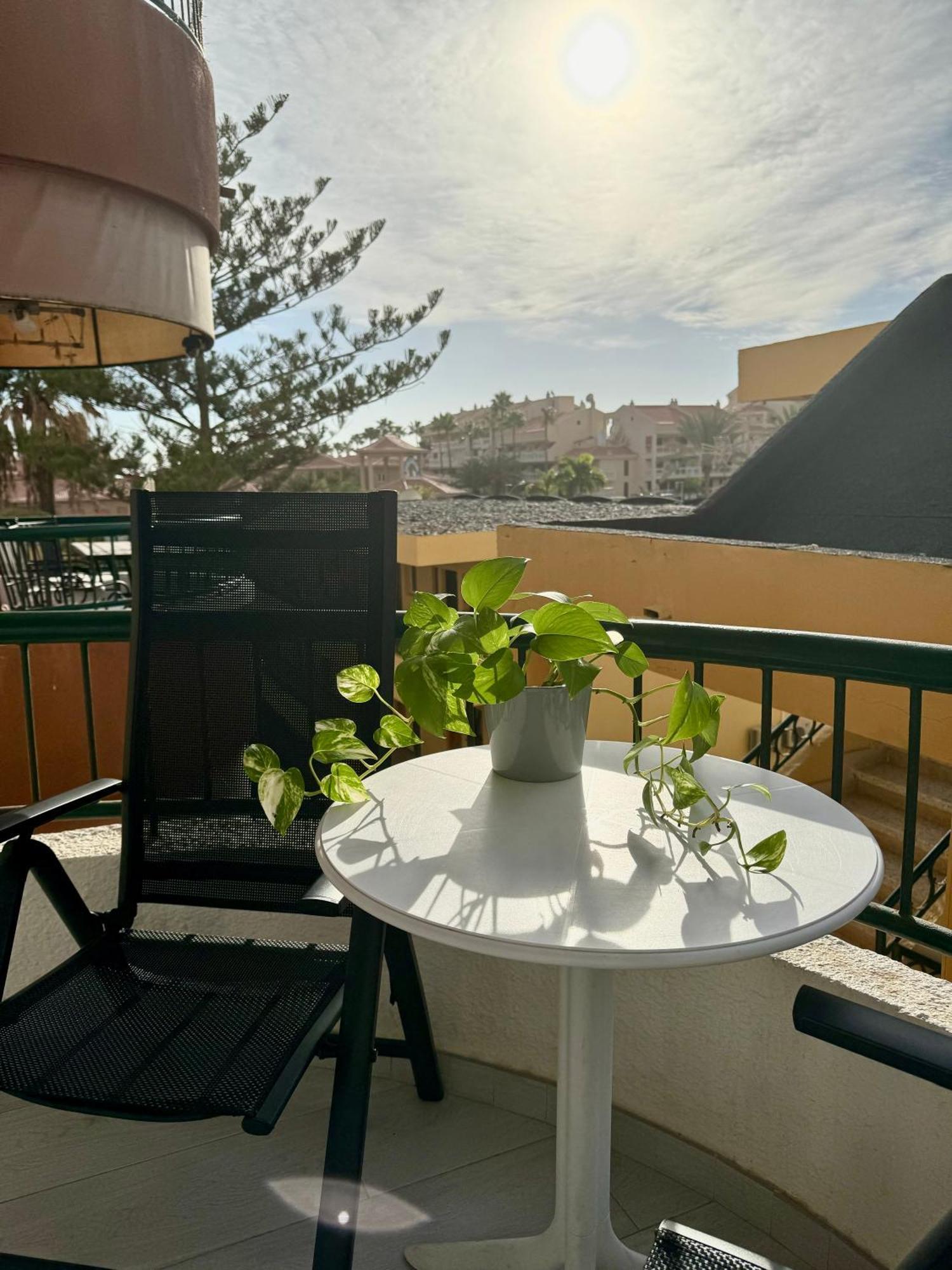 Torres Del Sol Luxury Las Americas Πλάγια ντε λας Αμέρικας Εξωτερικό φωτογραφία