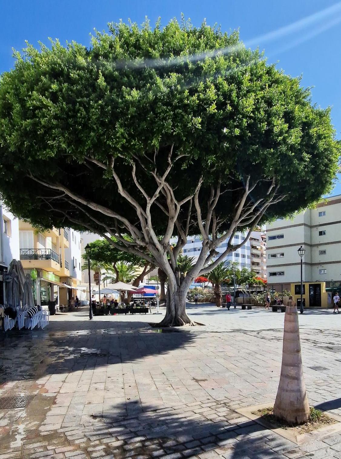 Torres Del Sol Luxury Las Americas Πλάγια ντε λας Αμέρικας Εξωτερικό φωτογραφία